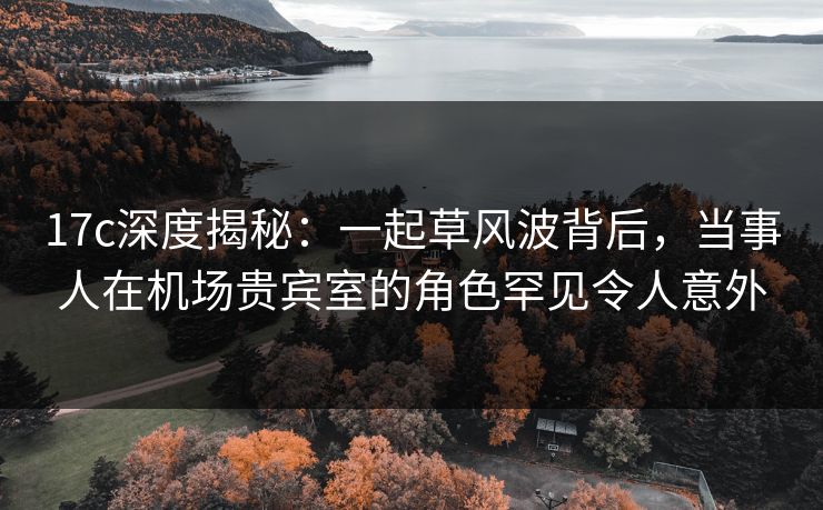 17c深度揭秘：一起草风波背后，当事人在机场贵宾室的角色罕见令人意外